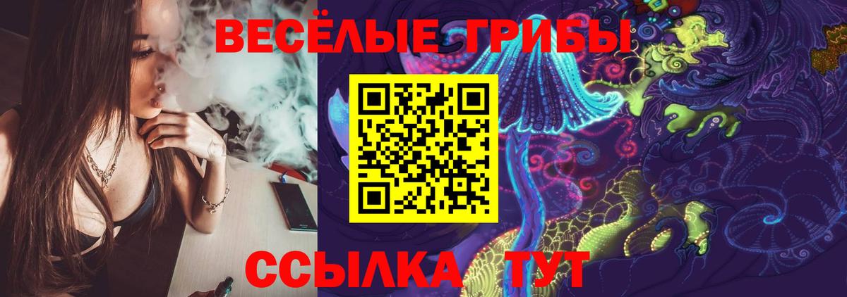 Янаул  Псилоцибиновые грибы Psilocybe  Вход с VPN 
